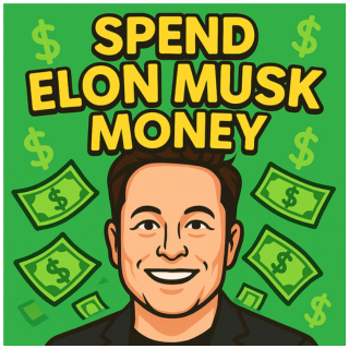 Spend Elon Musk Money – Simulator